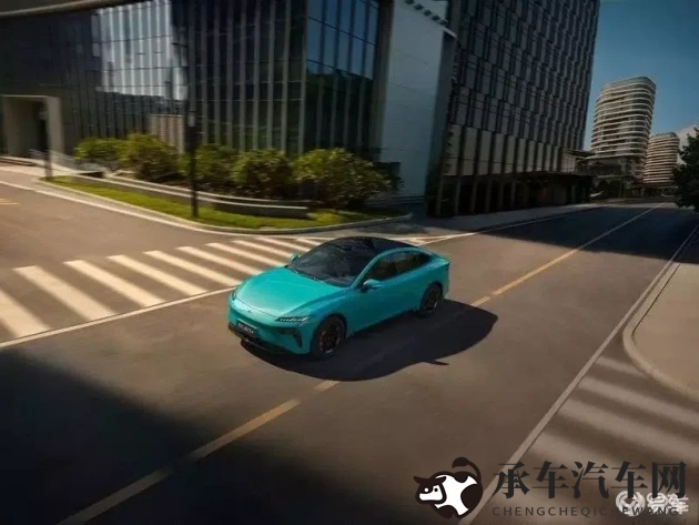 妈妈用手指在狗儿后背写字|温柔妈妈狗背书写情话-1