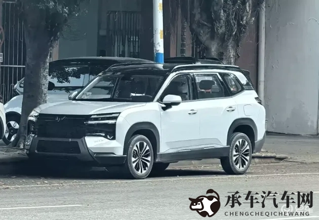 国产乱论|汽车乱象揭秘：国产品牌如何破局？-2