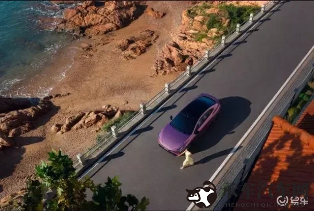 天娱传媒春节回家相亲孟孟|春节相亲遇同名佳人,孟孟温馨故事感动网友-1