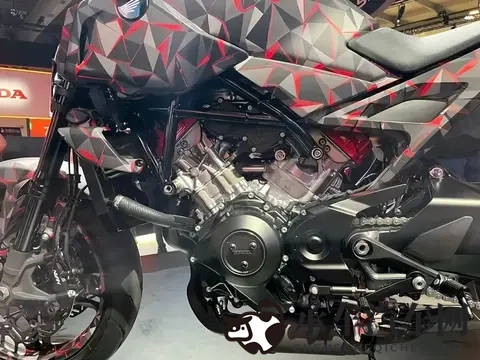 软件网站下载3.0.3免费oppo版大全装扮|Oppo手机新风尚，汽车主题装扮免费体验-2