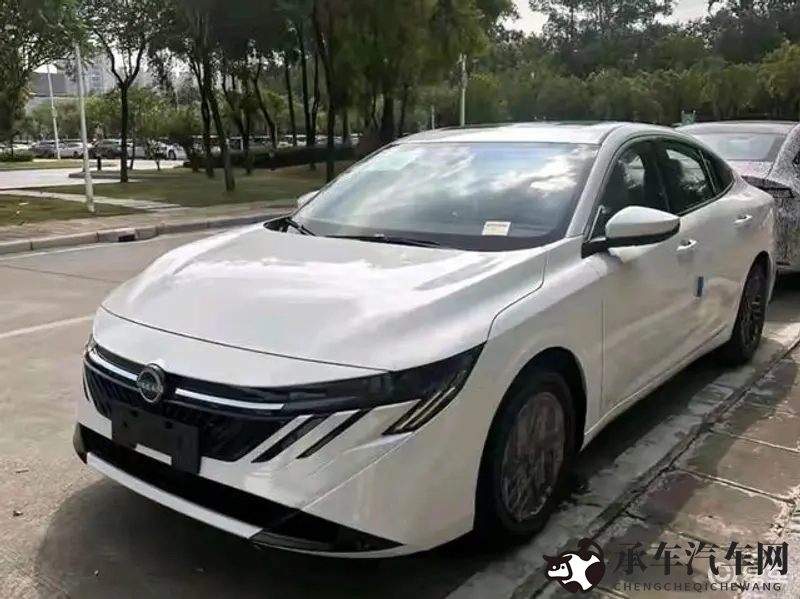 69乐园成功故事|69乐园：传奇创业路，辉煌成就展-1