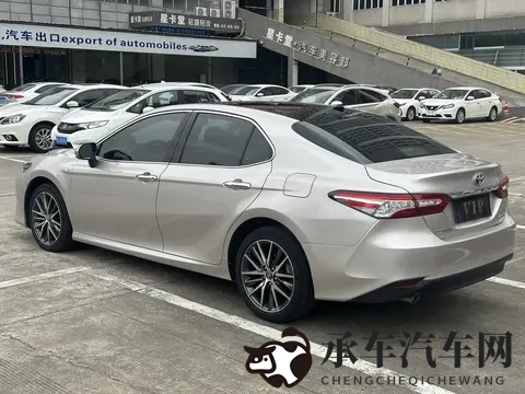 兽娘通信牛娘贝尔星空动漫|兽娘奇缘,牛娘贝尔映星空动漫世界-2