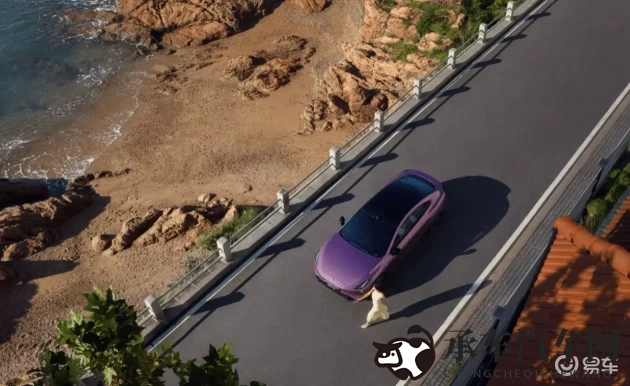 黑人异族巨大巨粗|震撼登场！全新车型设计独树一帜-1