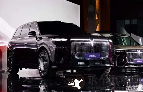 仙踪林company Limited19|探寻仙踪,林企领航,有限公司风采呈新-3