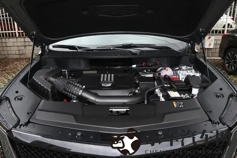 业余 成熟 业余 性别 成熟|驾驶技巧揭秘：男女司机谁更谨慎？-2