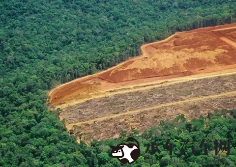 中国p站官网网址进入免费pixiv|汽车迷福利：免费平台畅享创意互动-1