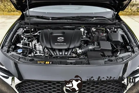 人人爽人人爽人人a|共享欢乐,共同体验,畅享无限时光-2