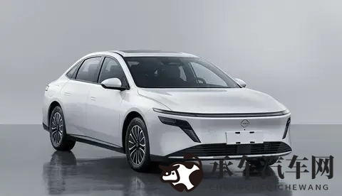 五月情婷婷|汽车新潮流，智能环保领航，未来已来！-3