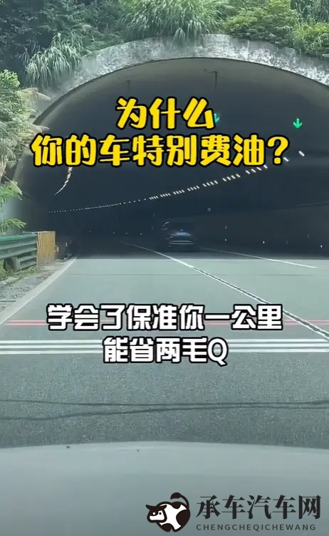 国产又白又嫩|白嫩车型惊艳亮相，国产汽车新潮流来袭-3