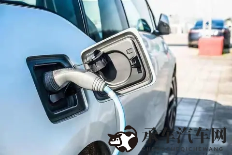 白丝   流了好多水游戏|性感白裙湿透，激情游戏无限欢乐-1