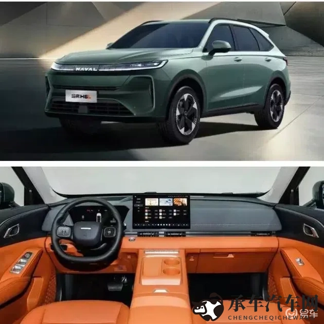 Free哆拍拍免费视频观看20|哆拍拍视频免费看，畅享精彩一刻-1