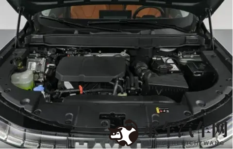 男生和女生一起插插|男女生共同进行某种活动-3