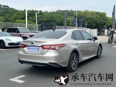 幻星辰2021无砖专区黑星介绍:幻星辰2021无砖专区揭秘,黑星特性深度解析-1