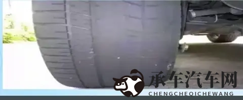 软件免费下载3.0.3每天更新|每日更新，3.0.3版软件免费获取-3