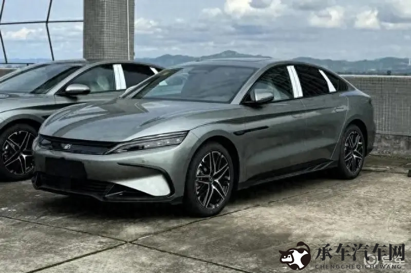 纯白的轮舞曲无增删樱花带翻译歌曲|纯白旋律樱花舞,附歌词翻译版-1