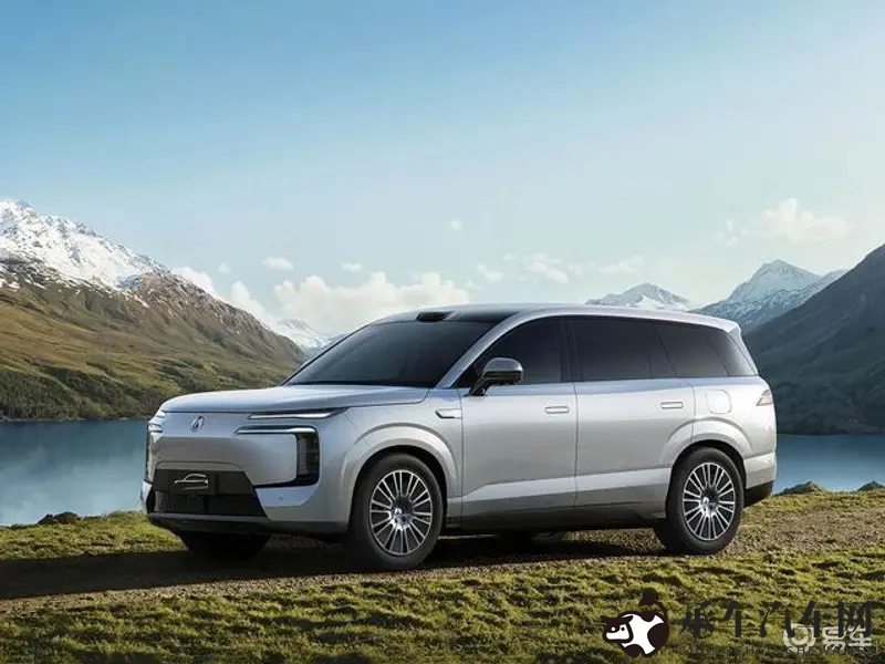 国产人成:民族汽车品牌崛起,技术创新引领新潮流-1