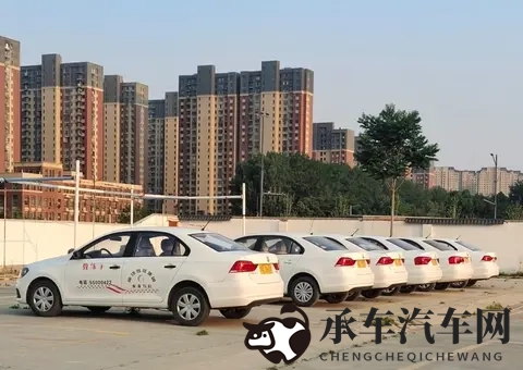 五月丁香亭亭玉立的意思|五月丁香展现娇美姿态-3