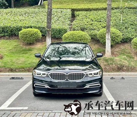 chinese和黑人BBC|全球汽车新风向：中国引领，合作共赢-2