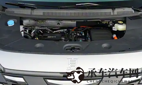 毛多水多|头发浓密，水分充足-1