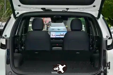 麻花传MOO44苏蜜清歌|独特设计新宠，绿色环保领航潮流-2