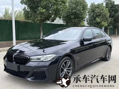 亚洲高潮女人毛茸茸|毛茸茸内饰成新宠，汽车设计趋势大揭秘-3