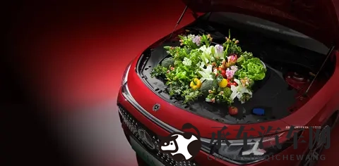 王者西施无小内无爱心特效怎么设置|个性化内饰打造指南，解锁汽车美学新境界-2