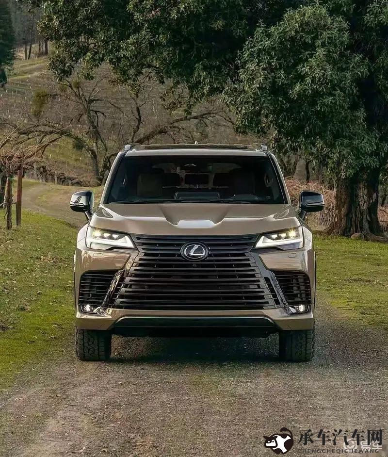 网站你应该明白什么意思免费网无风险|汽车迷必备：免费无风险平台，畅享资讯乐趣-2