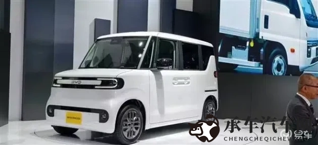 亚洲女人毛茸茸|汽车内饰新潮流：毛茸茸元素打造温馨驾驶体验-1