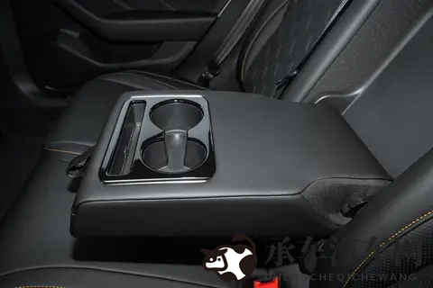 业余性别自由XXⅩXX中国|新能源汽车崛起，未来汽车生活新趋势-3