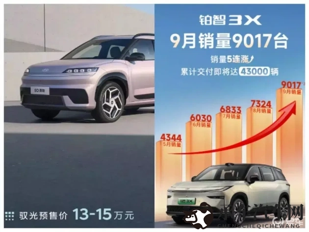 国精产品2024自偷自偷|新能源汽车2024，创新设计引领潮流-1