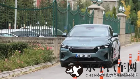 女版斯巴达克斯满天星|女子版斯巴达克斯,星光璀璨如满天星-2