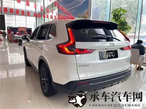 男人挺进雌性宠物|男性挑战进入女性宠物世界-3