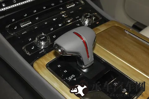 生物课老师把我睾丸拿了出来|汽车创新:生物课灵感打造高效冷却系统-1