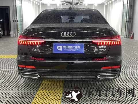 雷电将军的释怀网站!|新能源汽车动态:聚焦环保、智能与共享趋势-3