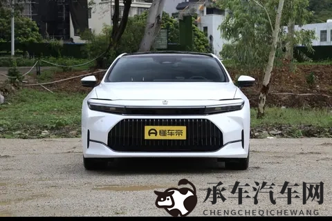 6P群体交乱：汽车市场乱象：揭秘6P交乱背后的影响与对策-2