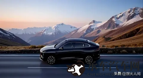 自己喝利尿剂在家憋一天尿知乎|汽车保养新招：利尿剂助延长车寿-2