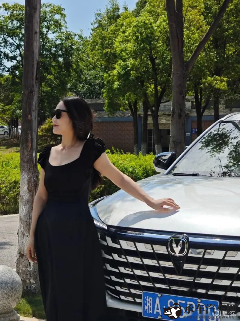 折磨奴役性受虐狂|驾驶狂热:速度与操控的极致快感-1