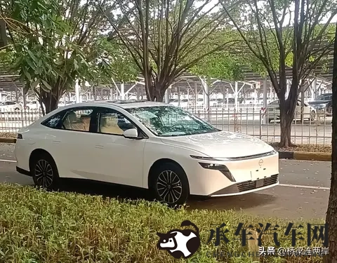 幻星辰2023秘密入口|探寻幻星辰,2023神秘通道开启-2