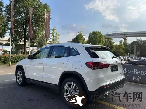 欧美老妇浓毛大泬毛茸茸：欧美老妇浓密毛发引人注目-3