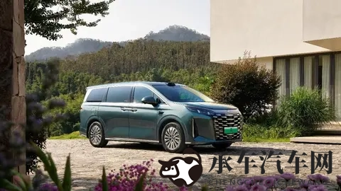 跨越种族黑白配娇小|独特设计魅力车型,惊艳黑白配挑战视觉极限-1